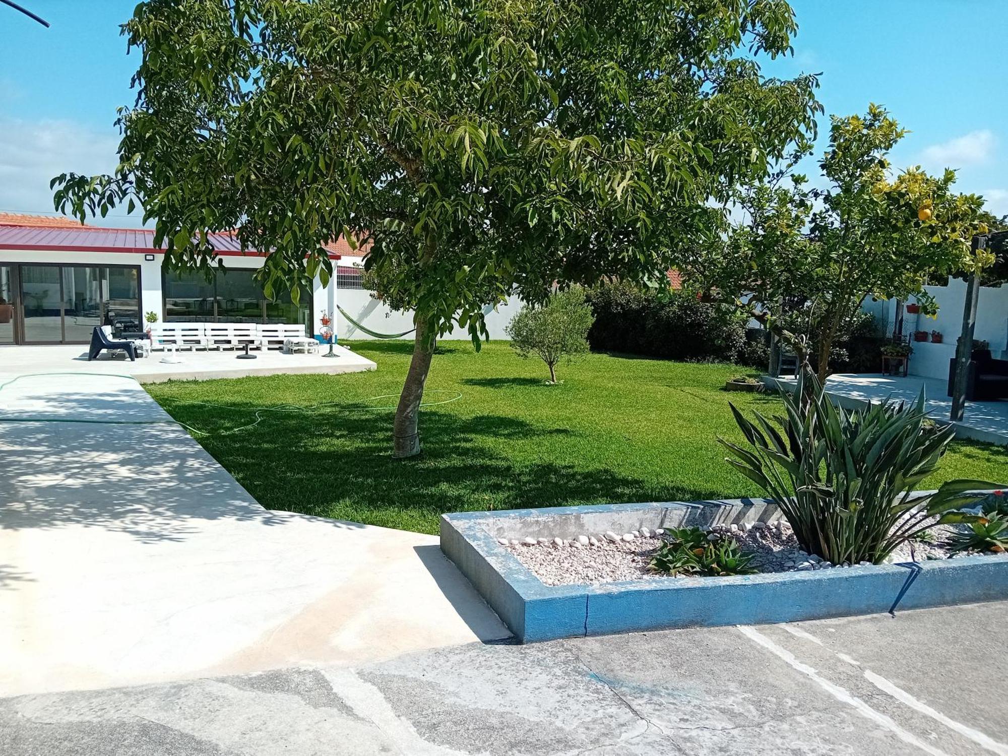 Casa Dos Avos Veras Aveiro Dış mekan fotoğraf