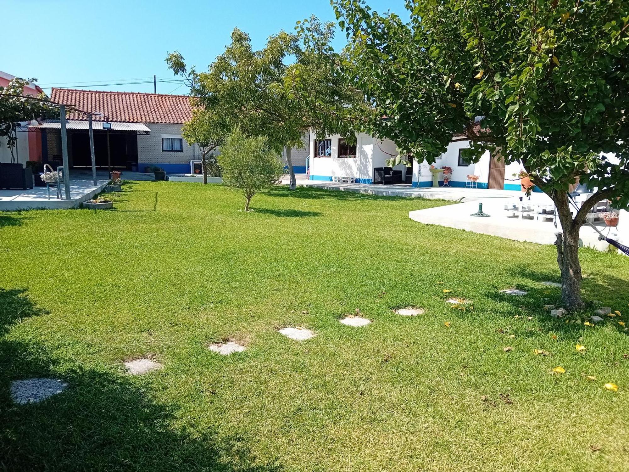 Casa Dos Avos Veras Aveiro Dış mekan fotoğraf